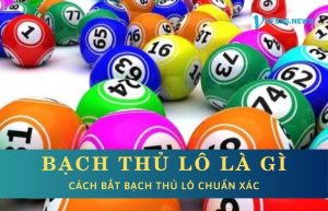 Bạch thủ lô là gì?