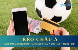 Kèo chấp nửa trái tại VF555