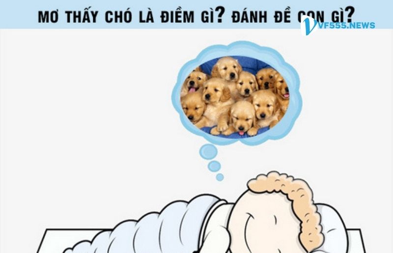 Nằm mơ thấy con chó đánh con gì?