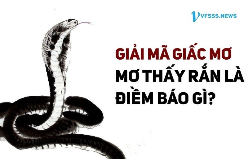 Nằm mơ thấy rắn đánh con gì?