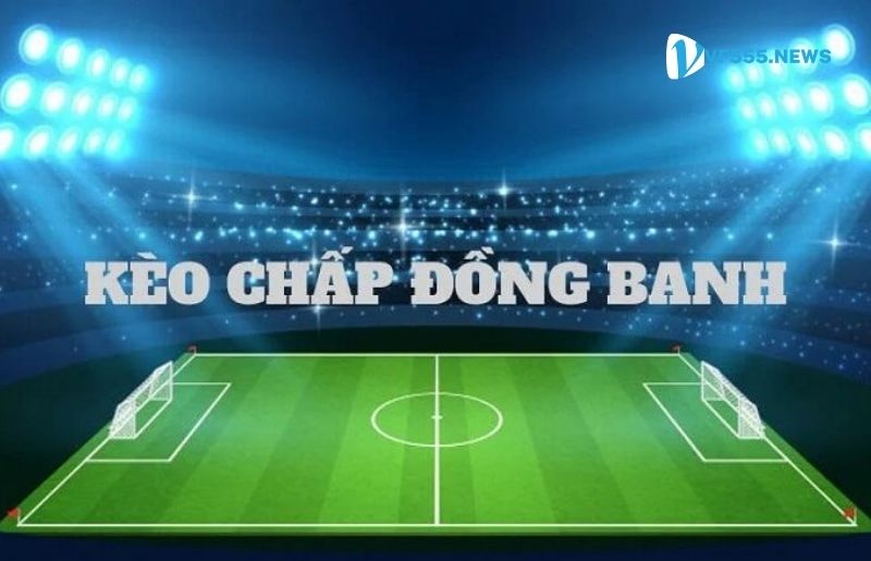 Kèo chấp đồng banh tại VF555