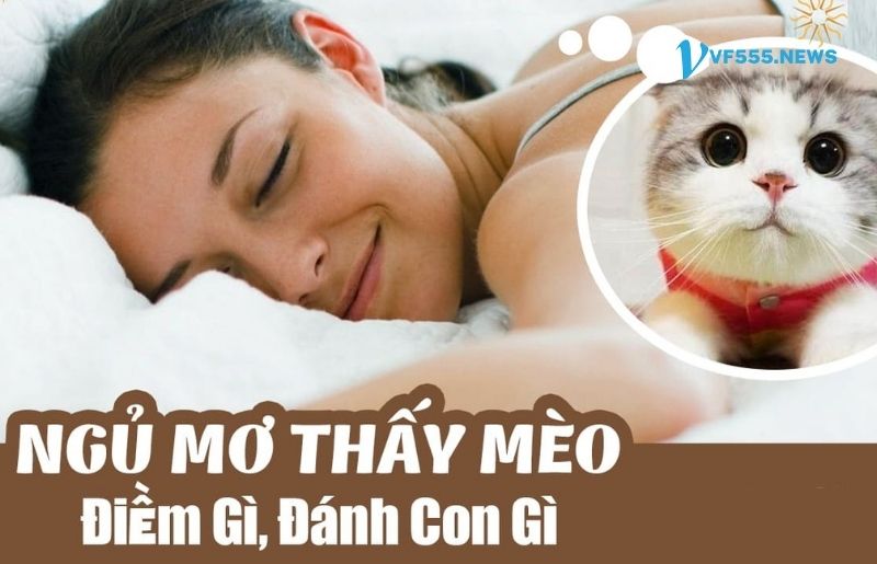 Luận giải nằm Mơ Thấy Mèo cho từng trường hợp