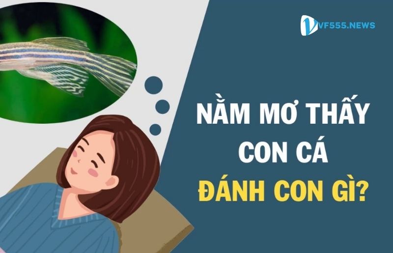 Mơ Thấy Cá Liên Quan Đến Con Số May Mắn Gì?