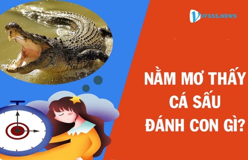 Nên đánh số nào khi Nằm mơ thấy Cá Sấu