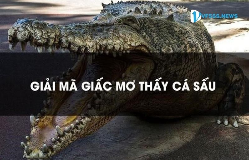 Nằm mơ thấy Cá Sấu có nghĩa là điềm báo gì