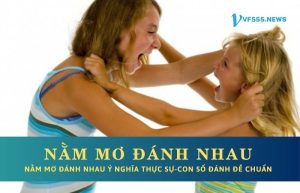 Nằm mơ thấy đánh nhau