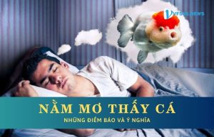 Nằm Mơ Thấy Cá