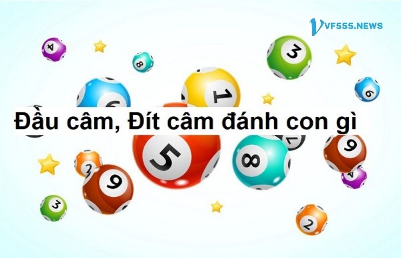 Đầu câm đít câm 